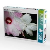 Produktbild: CALVENDO Puzzle Hibiscus Moscheutos und Hibiscus Swan Lake | 1000 Teile Lege-Gr&ouml;&szlig;e 64x48cm Foto-Puzzle f&uuml;r gl&uuml;ckliche Stunden
