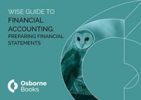 Produktbild: FINANCIAL ACCOUNTING: PREPARING FINANCIAL STAETMENTS WISEGUIDE