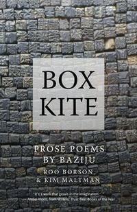 Produktbild: Box Kite