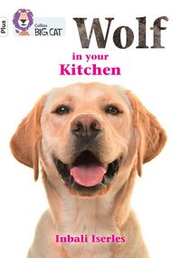 Produktbild: BIG CAT_WOLF IN YOUR KITCHEN