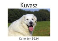 Produktbild: Kuvasz (Wandkalender 2024, Kalender DIN A4 quer, Monatskalender im Querformat mit Kalendarium, Das perfekte Geschenk)