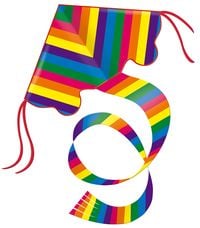 Bild vom Artikel Paul Günther 1159 - Rainbow Nylondrachen, 97 x 85 cm vom Autor 