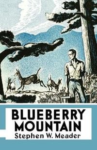 Produktbild: Blueberry Mountain