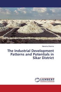 Produktbild: The Industrial Development Patterns and Potentials in Sikar District