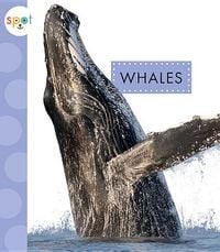 Produktbild: Whales