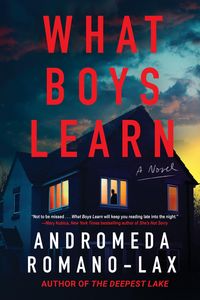 Produktbild: What Boys Learn