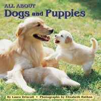 Produktbild: All about Dogs and Puppies