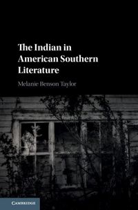 Produktbild: Indian in American Southern Literature