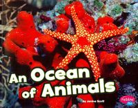 Produktbild: An Ocean of Animals