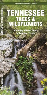 Produktbild: Tennessee Trees & Wildflowers