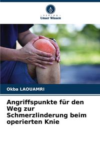Produktbild: Angriffspunkte f&uuml;r den Weg zur Schmerzlinderung beim operierten Knie