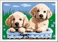 Produktbild: Malen nach Zahlen, CreArt. Cute Puppies