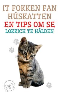 Produktbild: It Fokken fan H&uacute;skatten en Tips om se Lokkich te H&acirc;lden