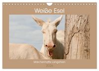 Produktbild: Wei&szlig;e Esel - M&auml;rchenhafte Langohren (Wandkalender 2026 DIN A4 quer), CALVENDO Monatskalender