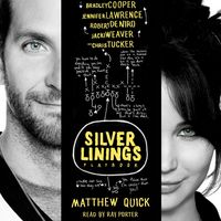 Produktbild: The Silver Linings Playbook