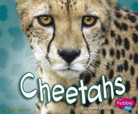 Produktbild: Cheetahs Rev/e