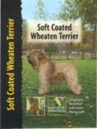 Produktbild: Soft Coated Wheaten Terrier