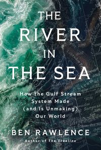 Produktbild: The River in the Sea
