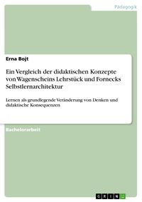 Produktbild: Ein Vergleich der didaktischen Konzepte von Wagenscheins Lehrst&uuml;ck und Fornecks Selbstlernarchitektur