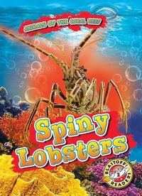 Produktbild: Spiny Lobsters