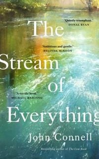 Produktbild: The Stream of Everything