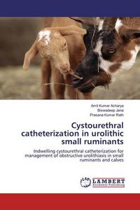 Produktbild: Cystourethral catheterization in urolithic small ruminants