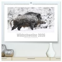 Produktbild: Wildschweine &ndash; Wildlife Fotografien (hochwertiger Premium Wandkalender 2026 DIN A2 quer), Kunstdruck in Hochglanz