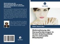 Produktbild: Wahrnehmung der Herausforderungen in ihrem Arbeitsumfeld durch entsandte Mitarbeiter