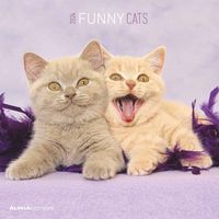 Bild vom Artikel Funny Cats 2024 - Broschürenkalender 30x30 cm (30x60 geöffnet) - Kalender mit Platz für Notizen - Katzen - Bildkalender - Wandplaner - Katzenkalend vom Autor 