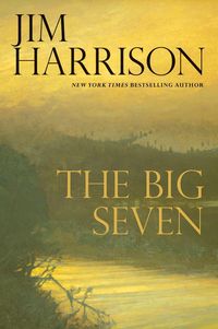 Produktbild: The Big Seven