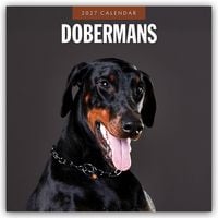 Produktbild: Dobermans &ndash; Dobermann 2027 &ndash; 16-Monatskalender
