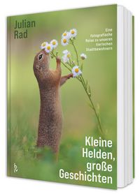 Produktbild: Kleine Helden &ndash; gro&szlig;e Geschichten