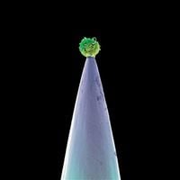 Produktbild: Peter Gabriel: New Blood