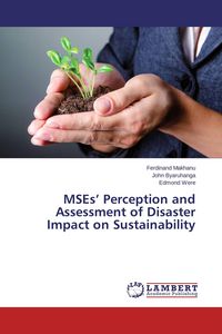 Produktbild: MSEs' Perception and Assessment of Disaster Impact on Sustainability