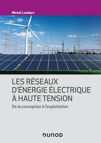 Produktbild: Les r&eacute;seaux d'&eacute;nergie &eacute;lectrique &agrave; haute tension