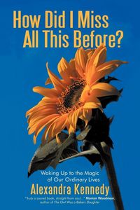 Produktbild: How Did I Miss All This Before?