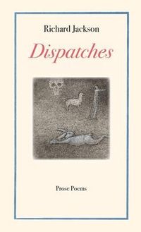 Produktbild: Dispatches
