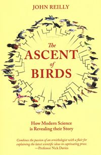 Produktbild: Ascent of Birds