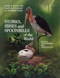 Produktbild: James A Hancock: Storks, Ibises & Spoonbills of the World