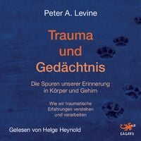 Produktbild: Trauma und Ged&auml;chtnis