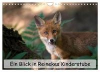 Produktbild: Ein Blick in Reinekes Kinderstube (Wandkalender 2026 DIN A4 quer), CALVENDO Monatskalender