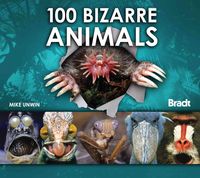 Produktbild: 100 Bizarre Animals