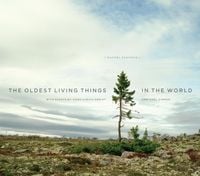 Produktbild: Oldest Living Things in the World