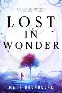 Produktbild: Lost In Wonder
