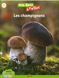 Produktbild: Les champignons. Bioviva
