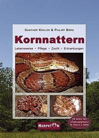 Produktbild: Kornnattern