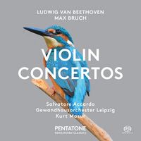 Produktbild: Violinkonzerte