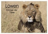 Produktbild: L&ouml;wen - K&ouml;nige der Tiere (Wandkalender 2026 DIN A2 quer), CALVENDO Monatskalender