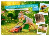 Produktbild: Tierische Redewendungen - Ein Kalender voller Spr&uuml;che und Sprachbilder (Wandkalender 2027 DIN A2 quer), CALVENDO Monatskalender
