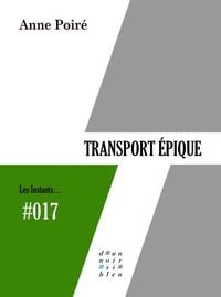 Produktbild: Holt African Amer Literature